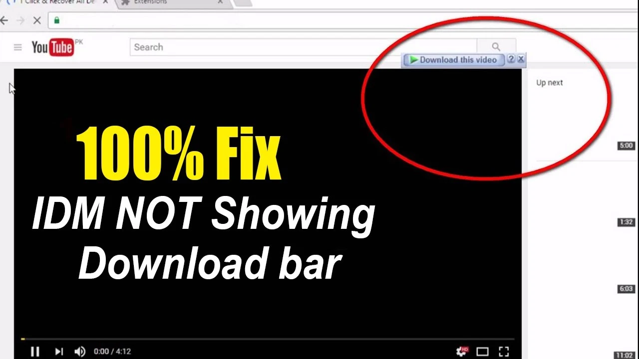 Fix IDM Not Showing Download This Video